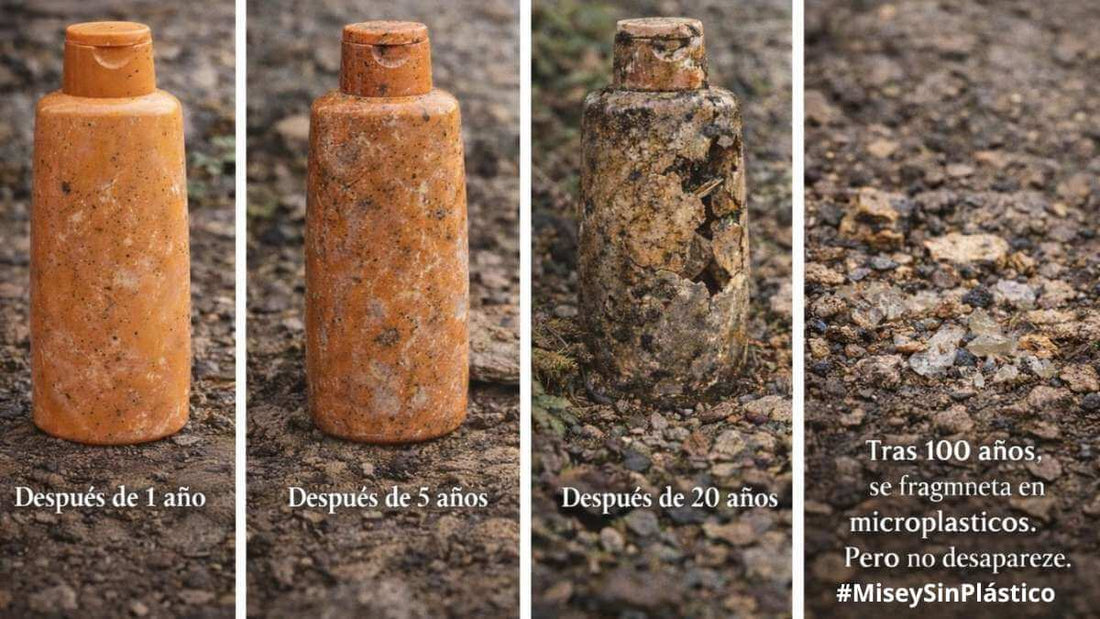 GUÍA DE BUENOS HÁBITOS MISEY: EL RETO DE LA BOTELLA.
