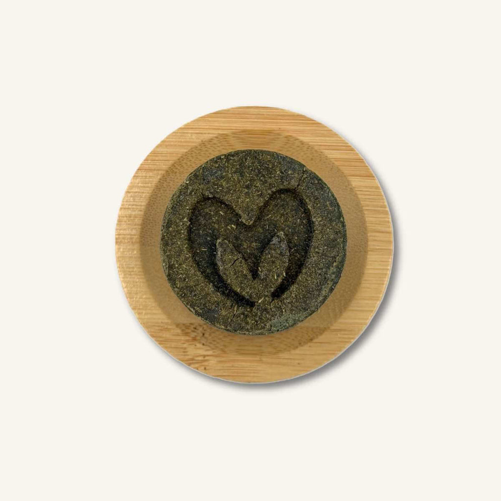 Champú sólido de Té Verde y Moringa sobre una jabonera de madera, rutina de baño zero waste y natural.
