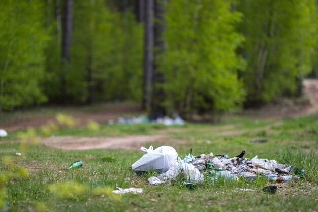 Cómo Reducir el Consumo de Envases